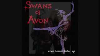 Watch Swans Heaven video