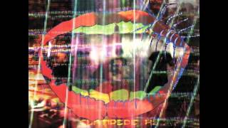 Watch Animal Collective Amanita video