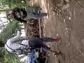 X Poes 204 Gokil images X Poes 204 Gokil