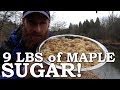 MILKING a TREE!?! | Maple SUGAR on OPEN FIRE | Home Made Evaporator, Wood Boiler, Chickens, Gardens MILKING a TREE!?! | Maple SUGAR on OPEN FIRE | Home Made Evaporator, Wood Boiler, Chickens, Gardens