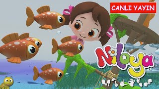 Niloya İşaret Dili - Canli Yayin Live