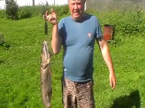форумы рыбаков в нижнем тагиле форумы рыбаков в нижнем тагиле