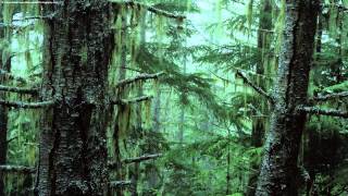 Watch Gotmoor Ten Strijde video