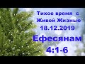 Тихое время с Живой Жизнью: Ефесянам 4:1–6 (18122019)