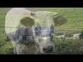 ensilage