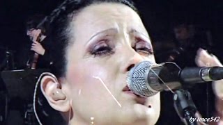 Watch Antonella Ruggiero In Volo video
