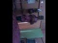 Goyang Heboh Cuy images Goyang Heboh Cuy