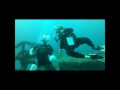 Halloween Dive with SFDH & Force-E 2013