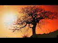 8 Hour Inner Peace Sleep Music: Delta Waves Deep Sleep, Meditation Music, Sleeping Music ☯346