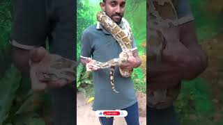 Piburaපඹර Sri Lankanuwan Nayakkara