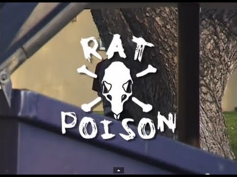 Rat Poison Cory Kennedy Teaser