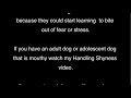 Dog Training Videos: How to train your puppy not to bite