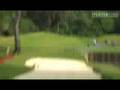 Shots Of The Month No.2 Video
