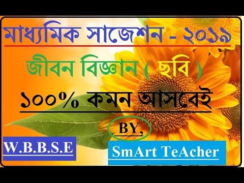 MADHYAMIK SUGGESTION 2019 LIFE SCIENCE by Smart Teacher
