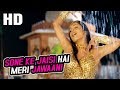 Sone Ke Jaisi Hai Meri Jawaani | Asha Bhosle | Maa Tujhhe Salaam 2002 Songs | Malaika Arora