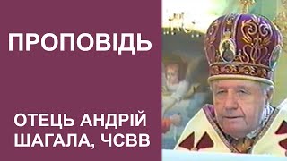 Всеціло Посвятився Для Духовної Відбудови Українського Народу Вл. Софрон Мудрий, Чсвв