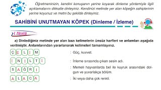 Sahibini Unutmayan Köpek Cevapları
