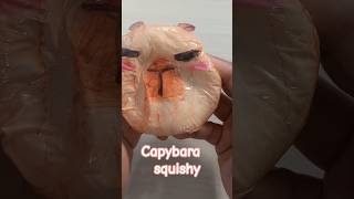 Capybarahow To Make A Tissu Paper Squishy