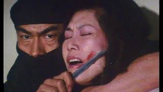 Godfrey Ho Ita Ninja Thunderbolt Film Completo