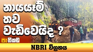 Pethikada 2025.11.27