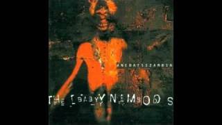 Watch Baby Namboos Hard Times video