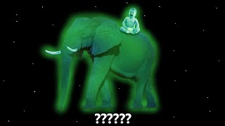 20 Elephant And Baby Cry Sound Variations Compilation In 60 Seconds
