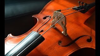 70. mezinárodní hudební soutěž Pražské jaro – VIOLONCELLO (1/2)