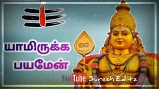 Palani Malai Muruganuku Vel Believe Devotional Song Whats App Status 30Secs For You