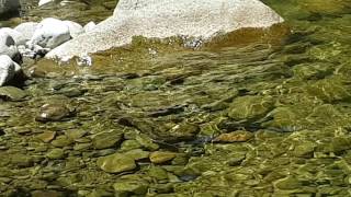Katikati Naturist Camp November 2016