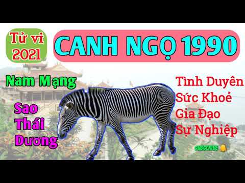 TỬ VI 2021 CANH NGỌ 1990 NAM MẠNG - SAO THÁI DƯƠNG