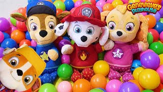 Paw Patrol Home Alone Funny Toy Learning Video For Kids!