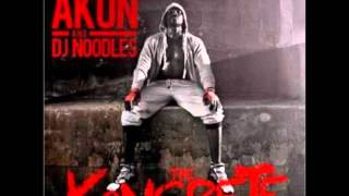 Watch Akon Honey I