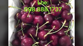 Bán Nhập Cherry Úc- Loại Của Tasmania Size 32 Hàng Order 2 Ngày Tươi Ngon