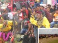Singo Margo Mulyo Feat Kuda Lumping Turonggo Mudo images Singo Margo Mulyo Feat Kuda Lumping Turonggo Mudo