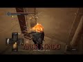 Dark Souls Tips Fire Keeper Soul Locations images Dark Souls Tips Fire Keeper Soul Locations