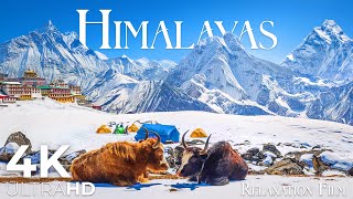 The Himalayas In 4K • Majesty Of Everest Peak With Relaxing Music | Relaxation Film