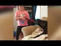 Funniest Dogs and Their Favorite Toys EVER | Funny Pet Videos