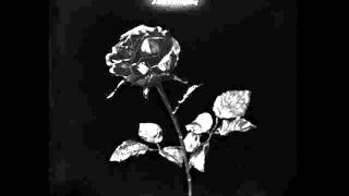 Watch Islands Dont I Love You video