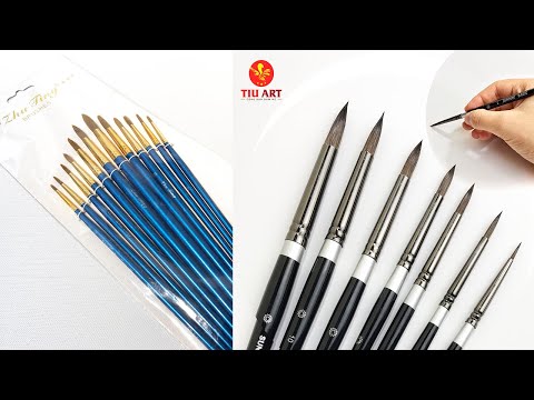 BÀI 1: GIỚI THIỆU KHÓA HỌC & DỤNG CỤ VẼ CẦN THIẾTI TiuArt