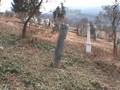 350 Mályinka cemetery  Anthropomorphic grave markers. Emberprofilú sírjelek