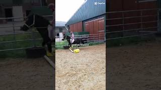 I Started To Train