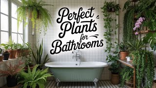 13 Plantes De Salle De Bain Efficaces Contre La Moisissure, Lhumidité Et La Condensation Absorb...