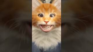 علش كي اجوطيني بو قلوة هههه Hwini