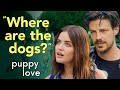 Max & Nicole’s Very SPICY First Date | Puppy Love