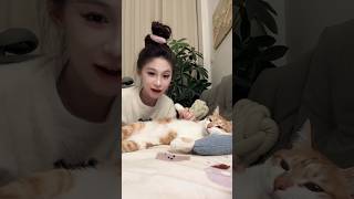 Cant Resist Kissing That Fluffy Cat Belly Too Cute To Handle