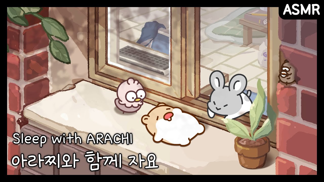 전체 동영상