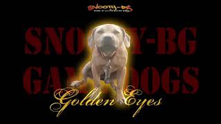 Snooty-Bg Gamedogs Yard Dog