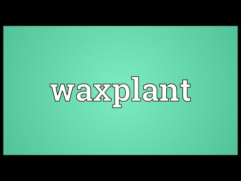 Header of waxplant