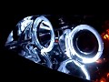 Nissan Maxima Halo Headlights