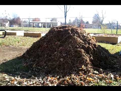 What I've learned about wood chips in the garden - YouTube